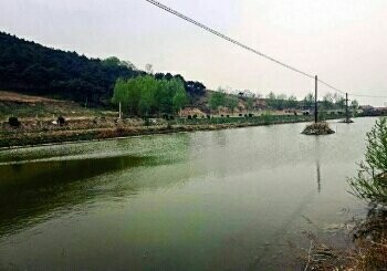 朴起屯李庄垂钓园