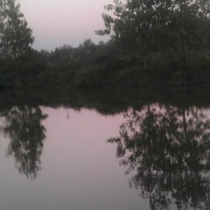 天然养殖本地鱼鱼塘