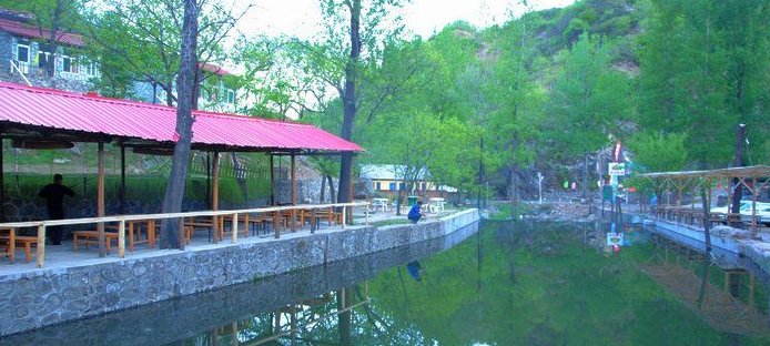 柴村壹号休闲垂钓园