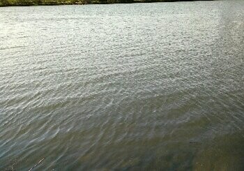 浑河新立堡大桥