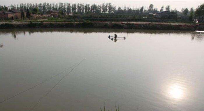 南赵村垂钓园