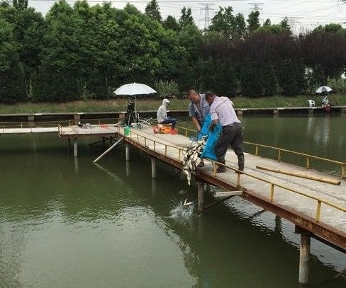 昆山姜巷生态园