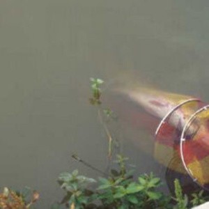 姜太公钓鱼天塘