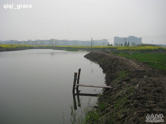 奉贤区新海1号塘