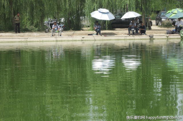 绿苑垂钓休闲中心