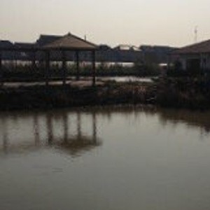 王家村垂钓中心