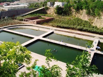 临港先行区垂钓基地