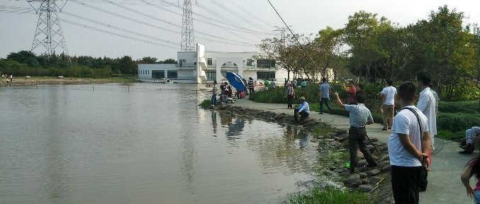 练塘联农钓鱼岛钓场