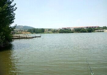 月湖山水垂钓园