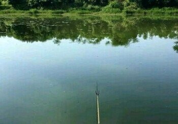 将帅沟大桥钓场