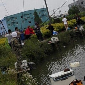 花园钓鱼休闲农庄