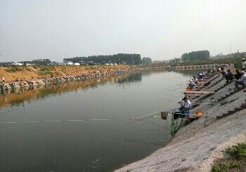 和平钓鱼场