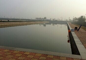 和谐桃源淡水垂钓基地