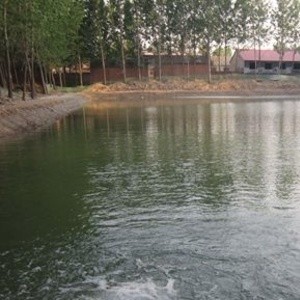 长庆休闲垂钓园