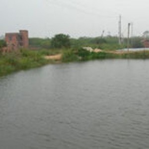 跨海大桥西边鱼塘