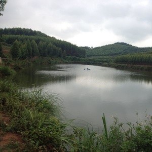 南宁明阳工业园钓场