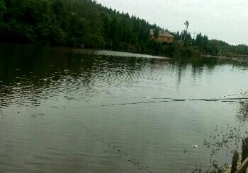 江油市彰明比赛场