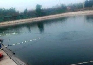 孙町苗圃垂钓园