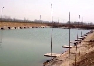 大店子兄弟垂钓园