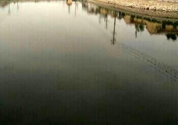 高唐皇殿村河段