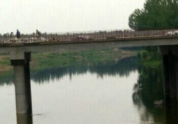 马颊河张庄村河段