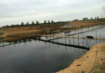 大自然生态垂钓园