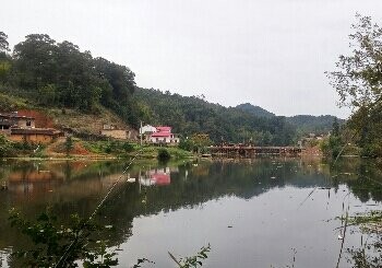 石营水库下营钓场