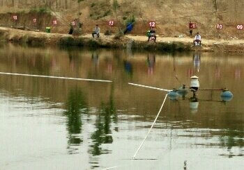焦庄渔家乐水库垂钓塘