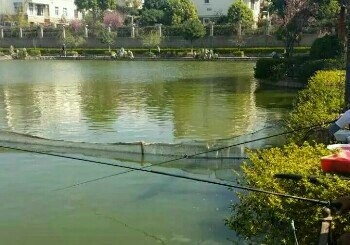 老年活动中心练竿塘