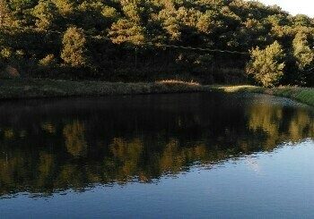 渔我同行生态垂钓园