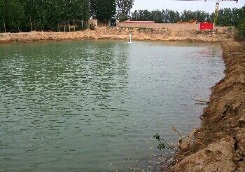 大鲫大鲤垂钓园