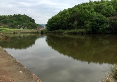蒋山脚大塘钓场