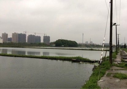 迎宾生态湿地公园