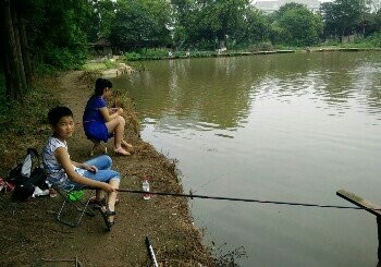 钓鱼台村国国鱼池