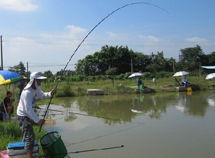 亮亮垂钓园