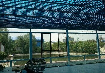 山阳老赵垂钓园