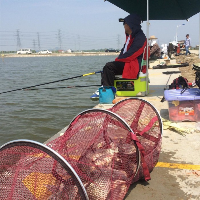 强记休闲钓鱼场