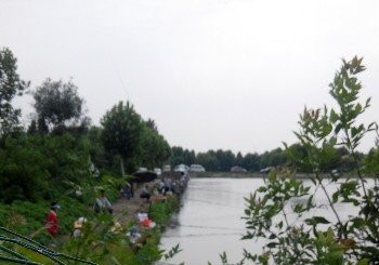 马场湖生态渔业