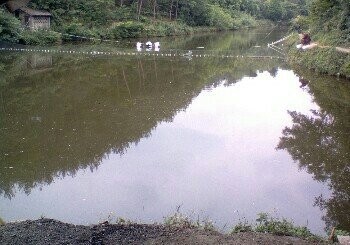途家梁鱼塘