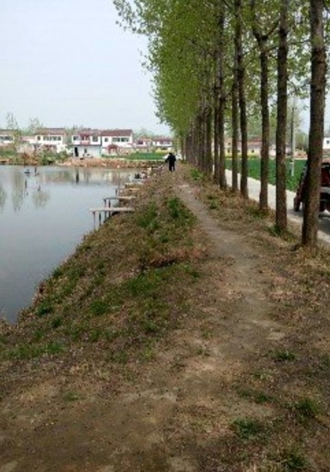 大寨路垂钓园