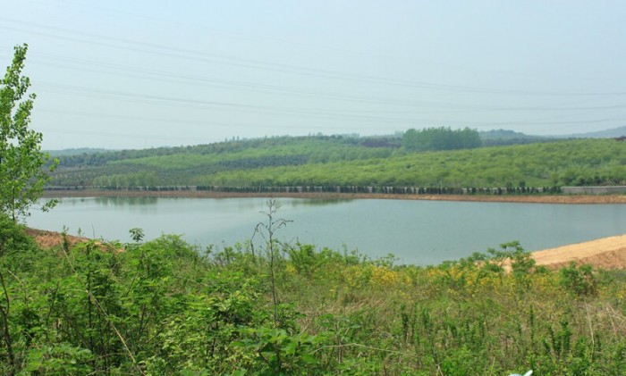 风派生态垂钓基地