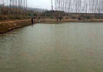 广平军营村鱼池