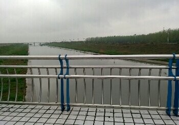 滨湖湿地森林公园边上