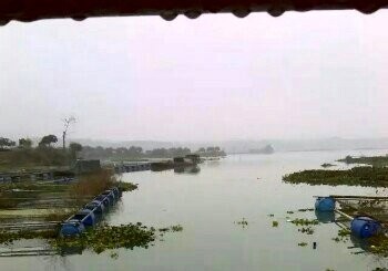 特种鱼养殖基地