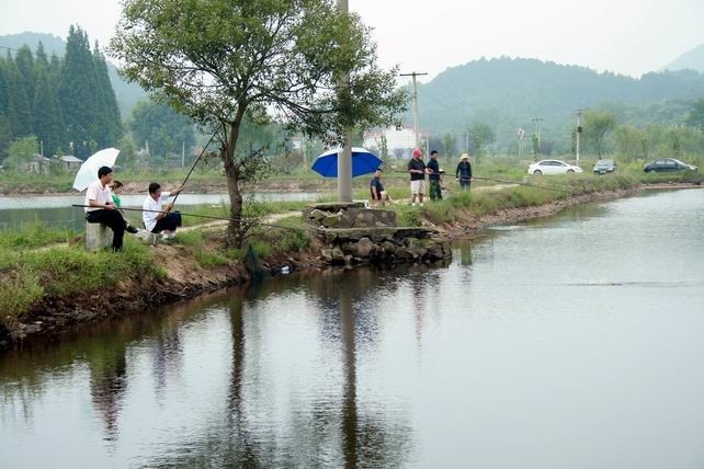 鱼乐(钓鱼场)农庄