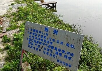 镇兴钓鱼场