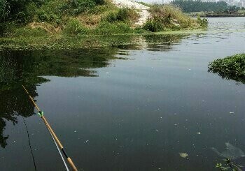 制革厂附近闸口