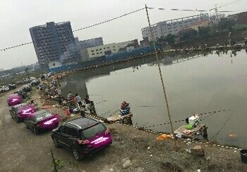 龙涌钓鱼场