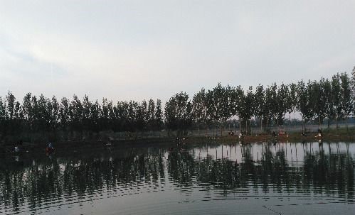 东马小虎垂钓园