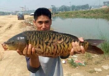 姐勒水库高速路鱼塘